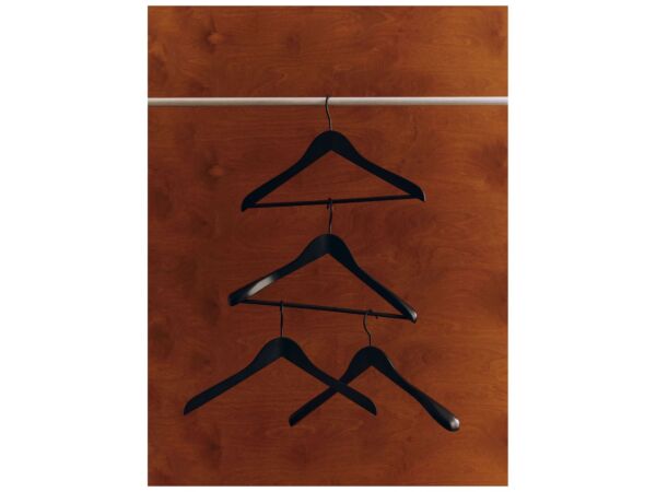 5_Smooth Coat Hanger family.jpg