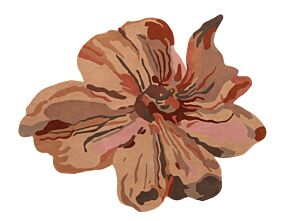 1_nanimarquina_rug_santi moix_flora_bloom 3.jpg