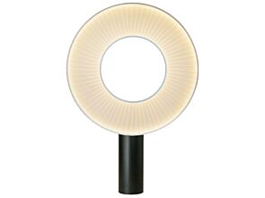 1_ps-iris-t-50-qnt00v9cpyznu9twpeff7qgxwff42sa8828yrveqoo.jpg