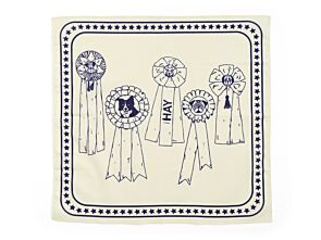 1_AE930-D281-AP76_HAY Dogs Scarf Recycled off-white with blue (2).jpg