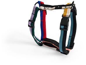 1_AE931-A602-AG29_HAY Dogs Harness M multi colour.jpg