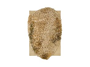 1_Alga_OcreS.jpg