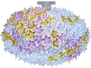 1_Bloom1.jpg