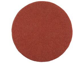 1_lora01.jpg