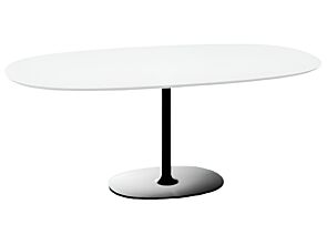 1_Dizzie Table Ovale 6.jpg
