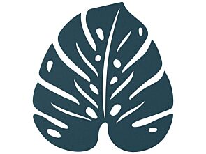1_BOUQUET_SAUVAGE_DESSOUS_DE_PLAT_MONSTERA_BLEU_ACAPULCO_SKU_301821.jpg