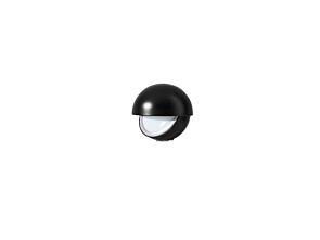 1_Palpebra noir.jpg