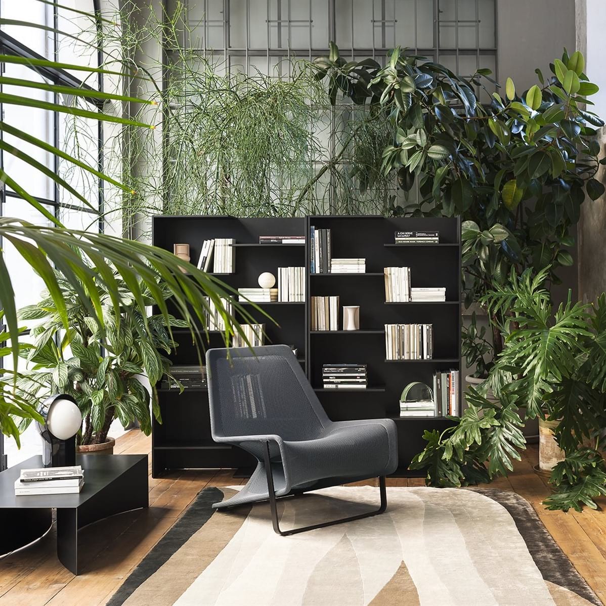 DESALTO_aria_fauteuil_tapis_commode_etagere_sail_TV_step_batiplus