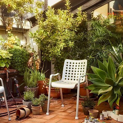 Des plantes pour égayer votre intérieur