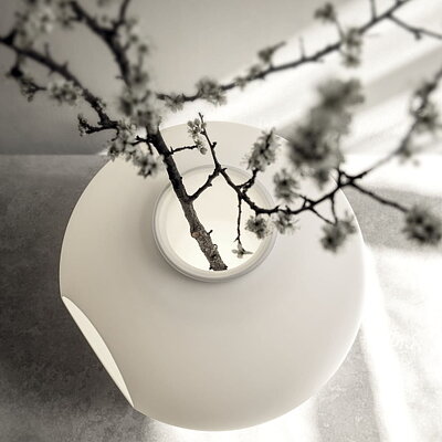 madre_foscarini